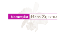 logo-Zijlstra