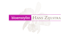 logo-Zijlstra